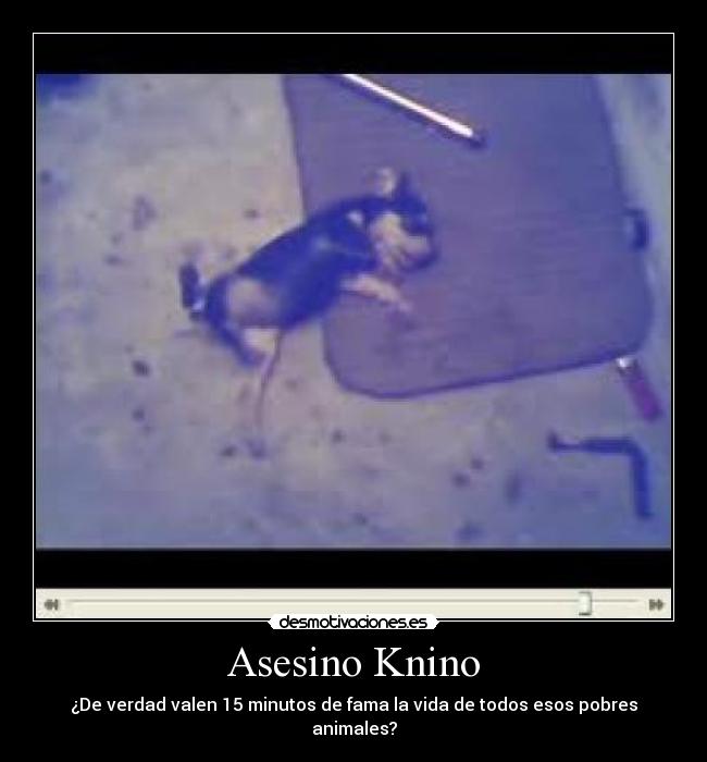 Asesino Knino - ¿De verdad valen 15 minutos de fama la vida de todos esos pobres animales?