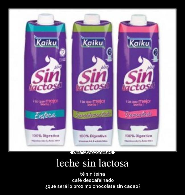 leche sin lactosa - 