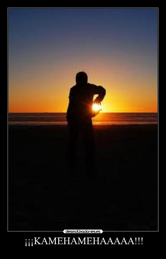¡¡¡KAMEHAMEHAAAAA!!! -