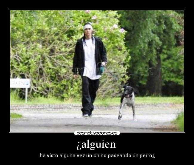 ¿alguien  - ha visto alguna vez un chino paseando un perro¿