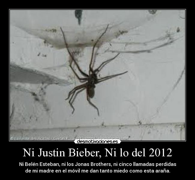Ni Justin Bieber, Ni lo del 2012 -