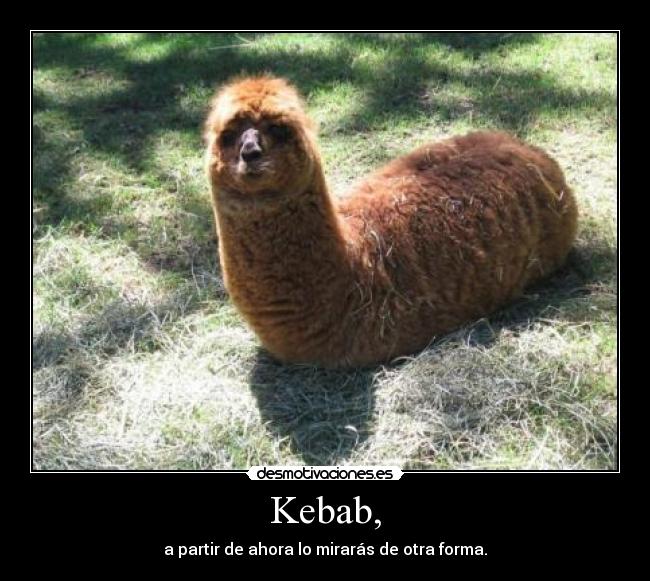 Kebab, - a partir de ahora lo mirarás de otra forma.