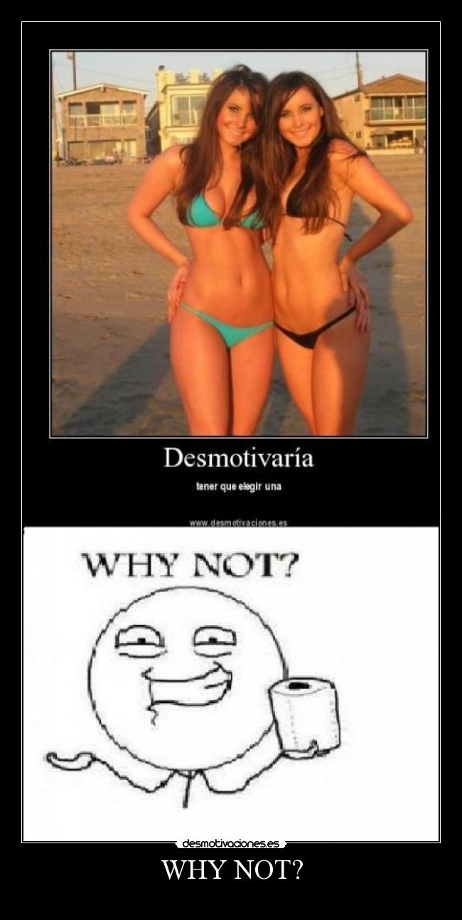 WHY NOT? -