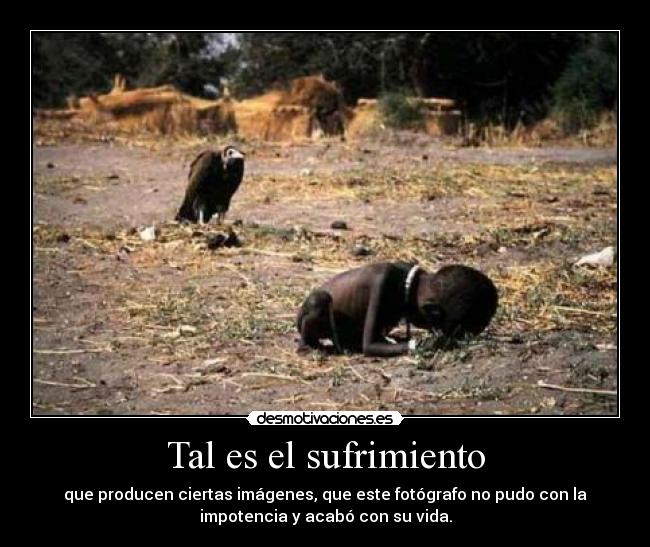 Tal es el sufrimiento - que producen ciertas imágenes, que este fotógrafo no pudo con la
impotencia y acabó con su vida.
