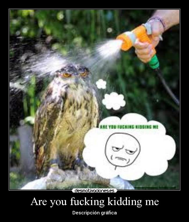 Are you fucking kidding me - 