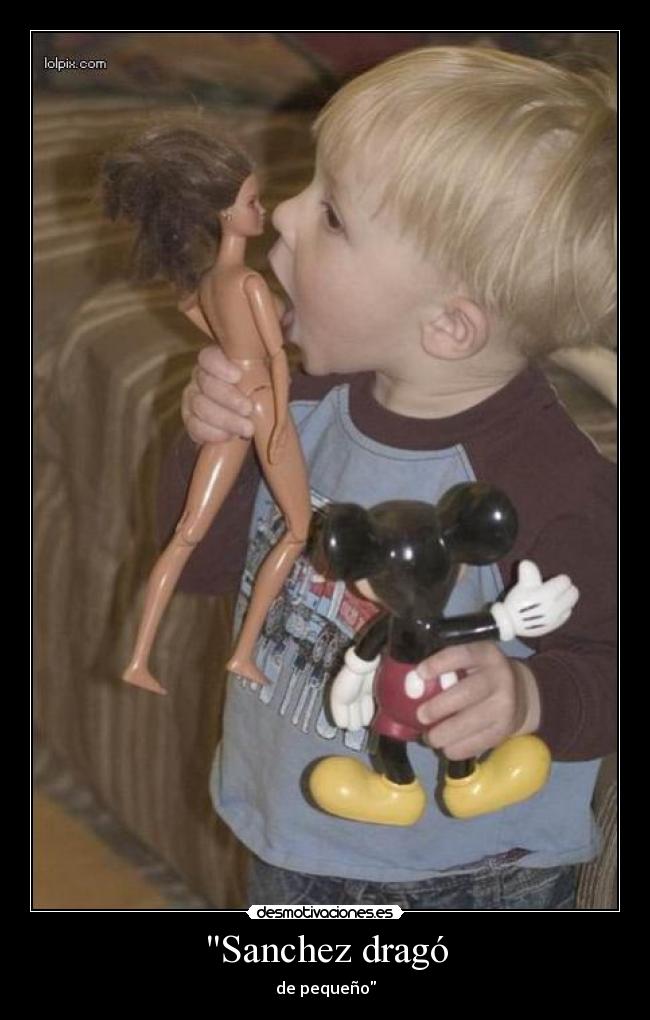 Sanchez dragó - 