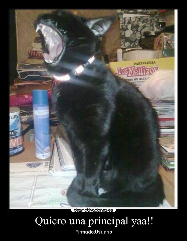 Quiero una principal yaa!! - Firmado:Usuario