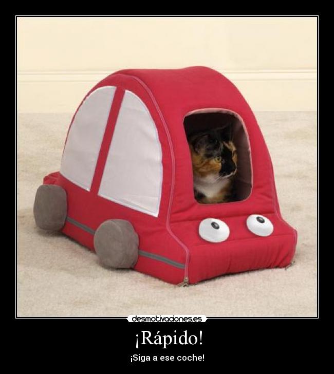 ¡Rápido! -