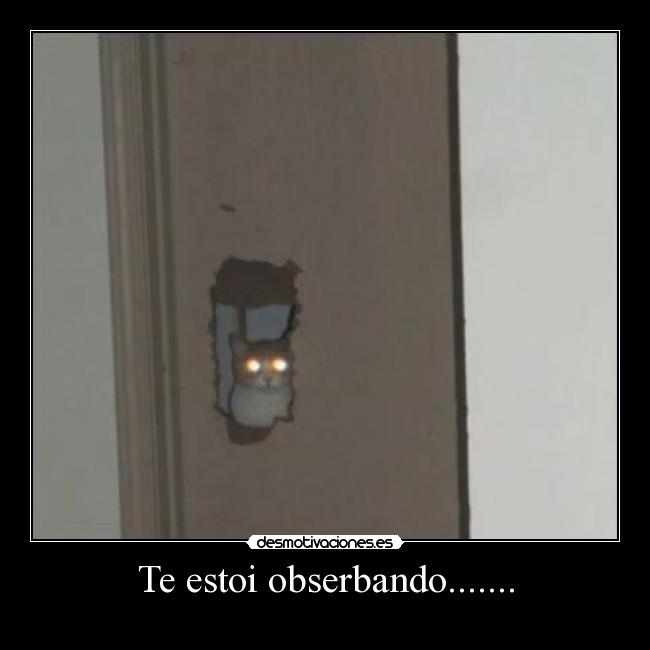 Te estoi obserbando....... -