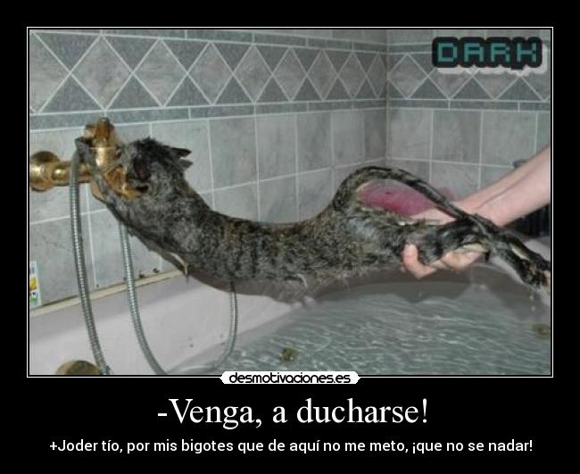-Venga, a ducharse! - +Joder tío, por mis bigotes que de aquí no me meto, ¡que no se nadar!