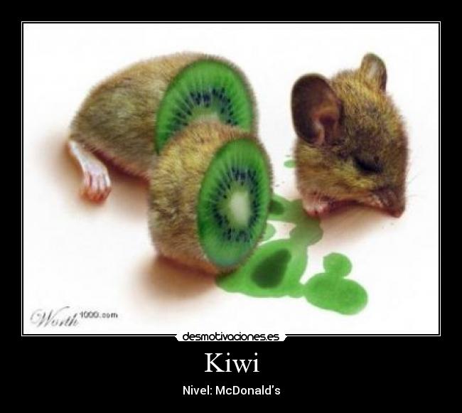 Kiwi -