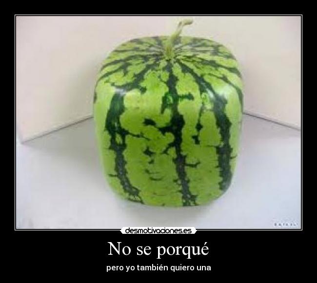 No se porqué -