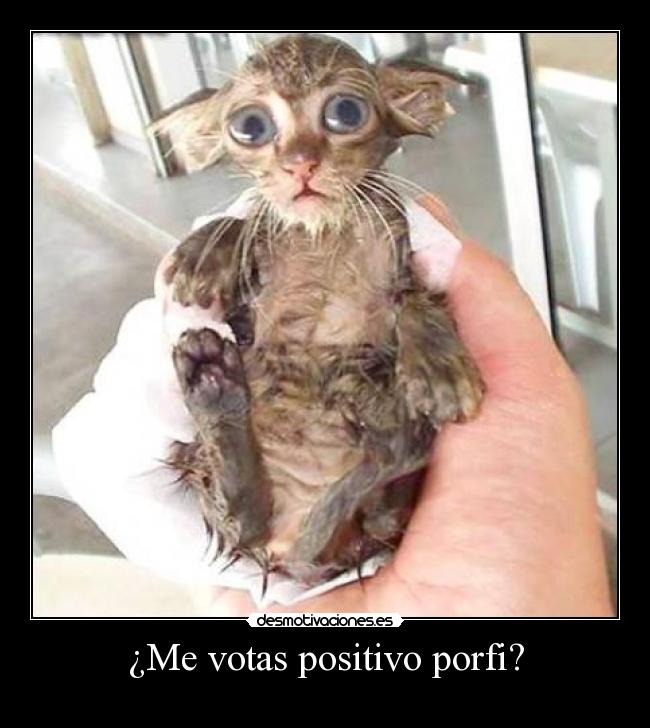 ¿Me votas positivo porfi? - 