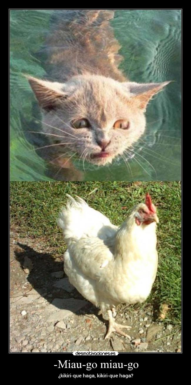 carteles desmotivaciones