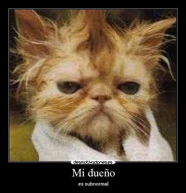 carteles dueno desmotivaciones