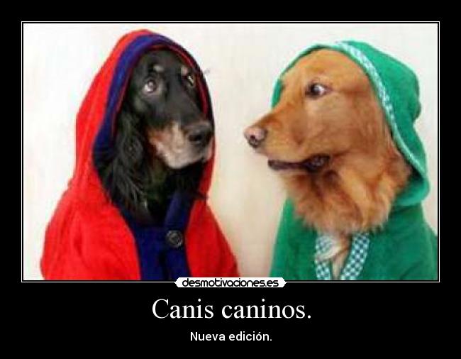 Canis caninos. - Nueva edición.
