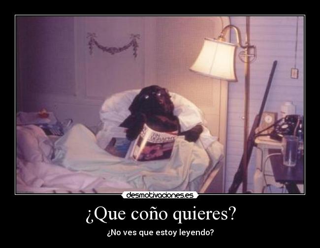 ¿Que coño quieres? - ¿No ves que estoy leyendo?