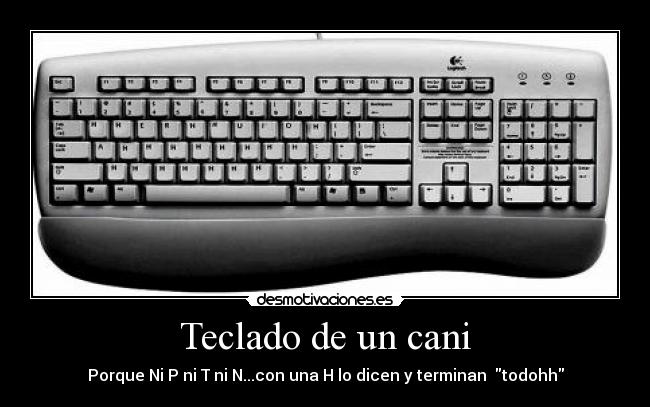 Teclado de un cani - Porque Ni P ni T ni N...con una H lo dicen y terminan  todohh