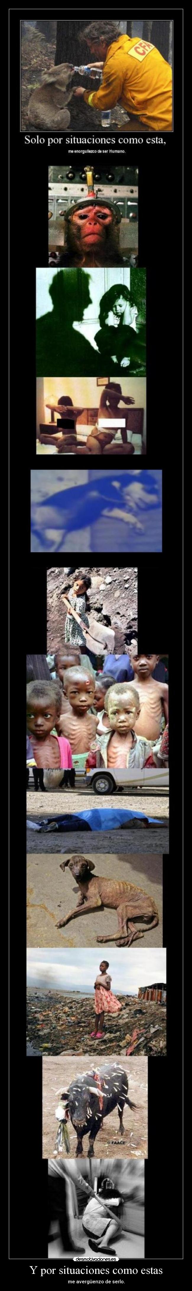 Y por situaciones como estas - me avergüenzo de serlo.