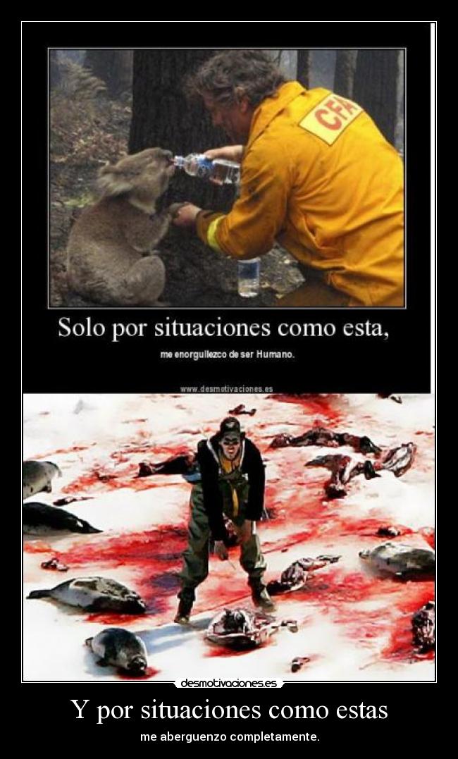 Y por situaciones como estas - me aberguenzo completamente.