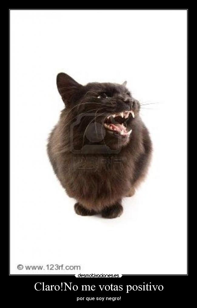 Claro!No me votas positivo -