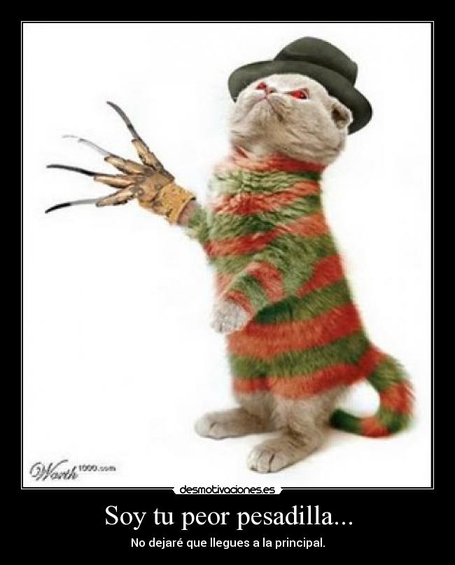 Soy tu peor pesadilla... - No dejaré que llegues a la principal.