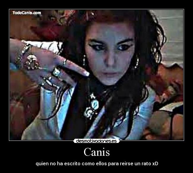 Canis -