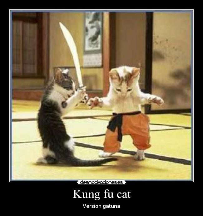 Kung fu cat - Version gatuna