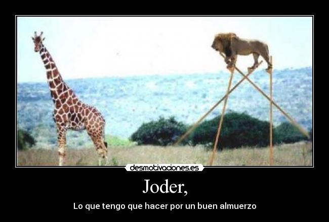 Joder, - 