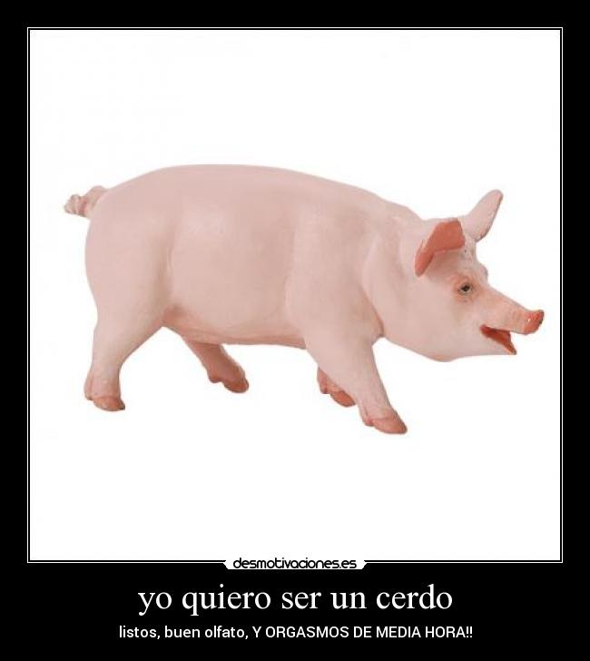 yo quiero ser un cerdo - 