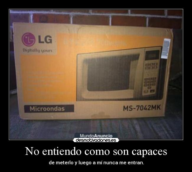 No entiendo como son capaces -