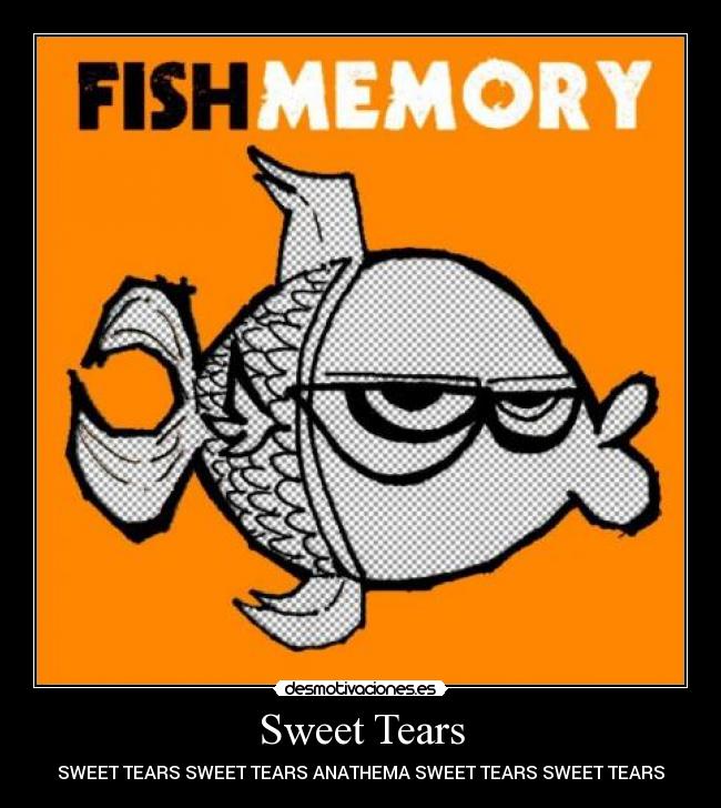 Sweet Tears - SWEET TEARS SWEET TEARS ANATHEMA SWEET TEARS SWEET TEARS