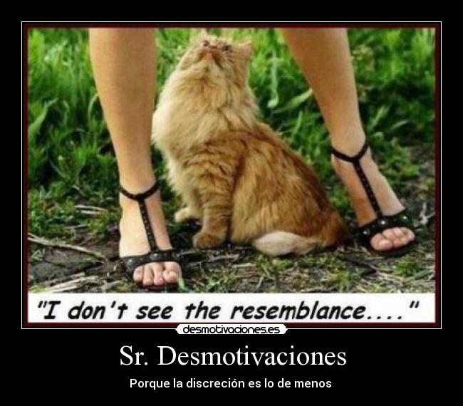 Sr. Desmotivaciones - Porque la discreción es lo de menos