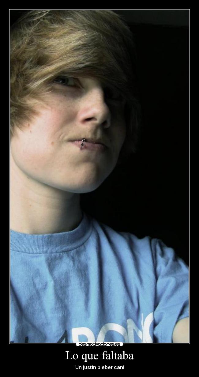 Lo que faltaba - Un justin bieber cani