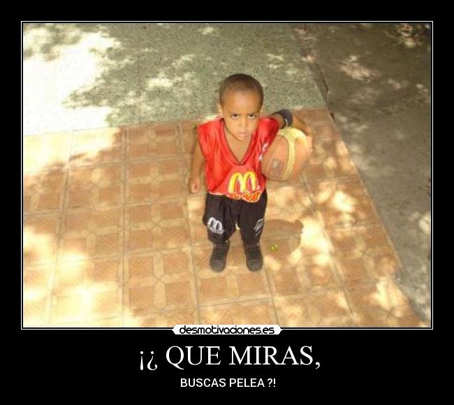 ¡¿ QUE MIRAS, -