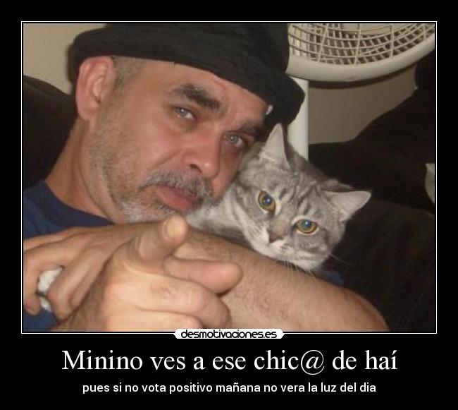 Minino ves a ese chic@ de haí - 