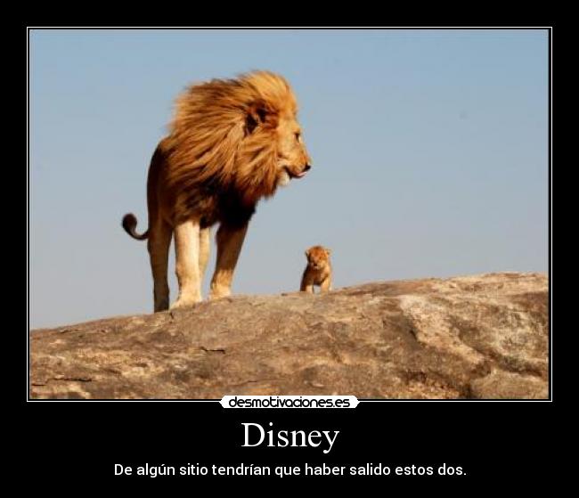 Disney - De algún sitio tendrían que haber salido estos dos.