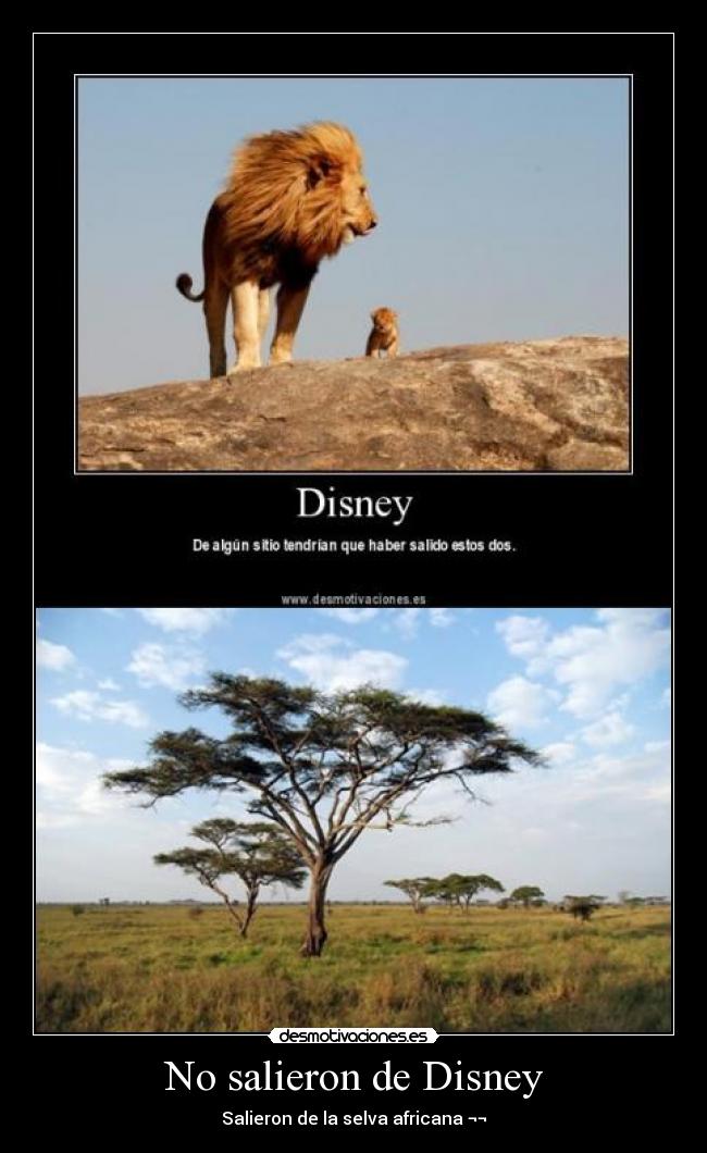 carteles selva desmotivaciones