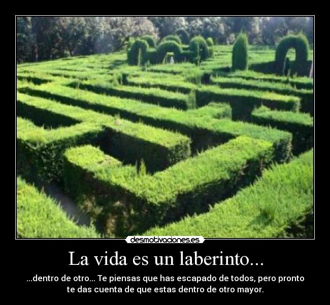 La vida es un laberinto... - 
