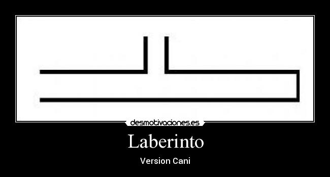 Laberinto - 