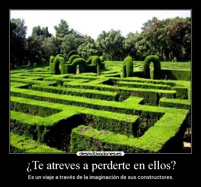 ¿Te atreves a perderte en ellos? - 