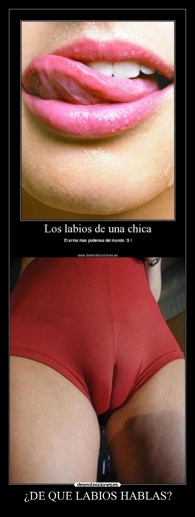 ¿DE QUE LABIOS HABLAS? - 