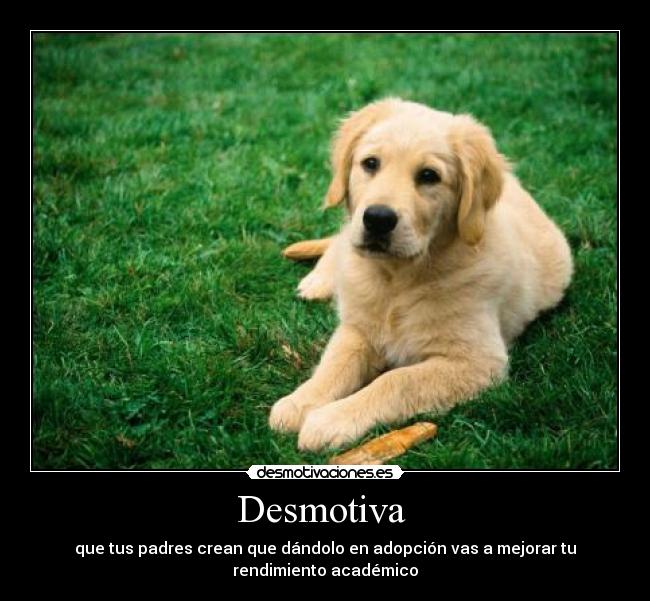 carteles jpetotoo desmotivaciones