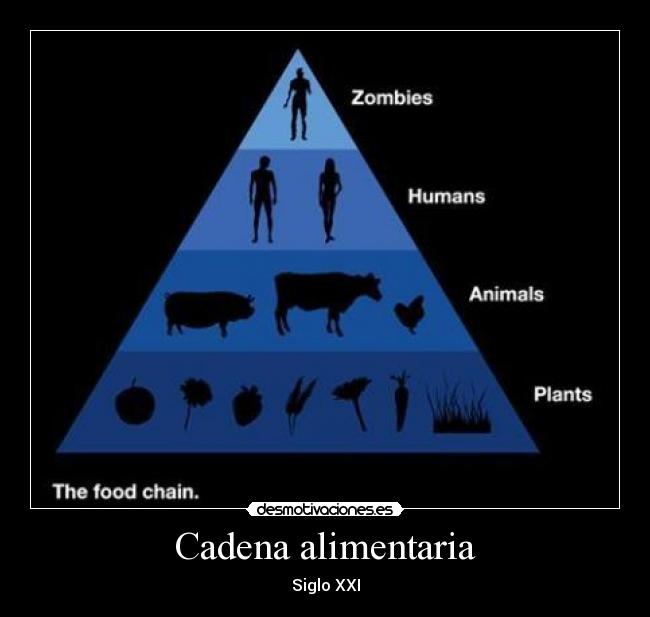 Cadena alimentaria - Siglo XXI