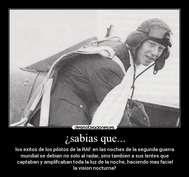 carteles piloto desmotivaciones