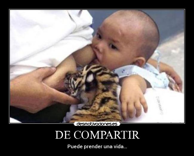 DE COMPARTIR - 