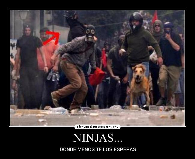 NINJAS... -