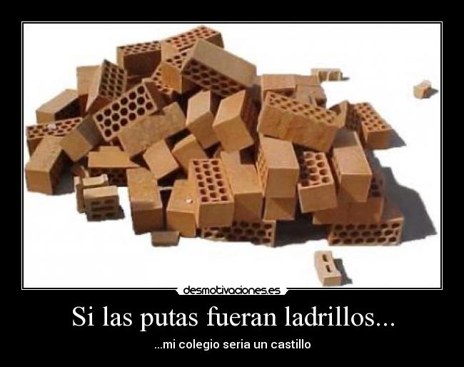 Si las putas fueran ladrillos... - 