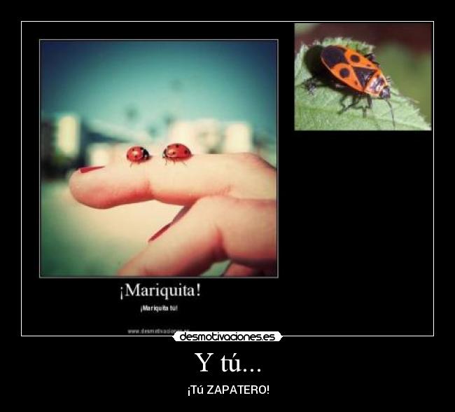 Y tú... -