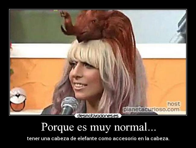 Porque es muy normal... - tener una cabeza de elefante como accesorio en la cabeza.